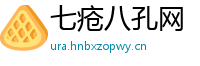 七疮八孔网